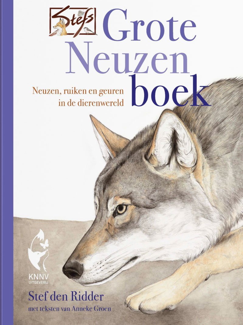Stef’s Grote Neuzen boek - Stef den Ridder & Anneke Groen