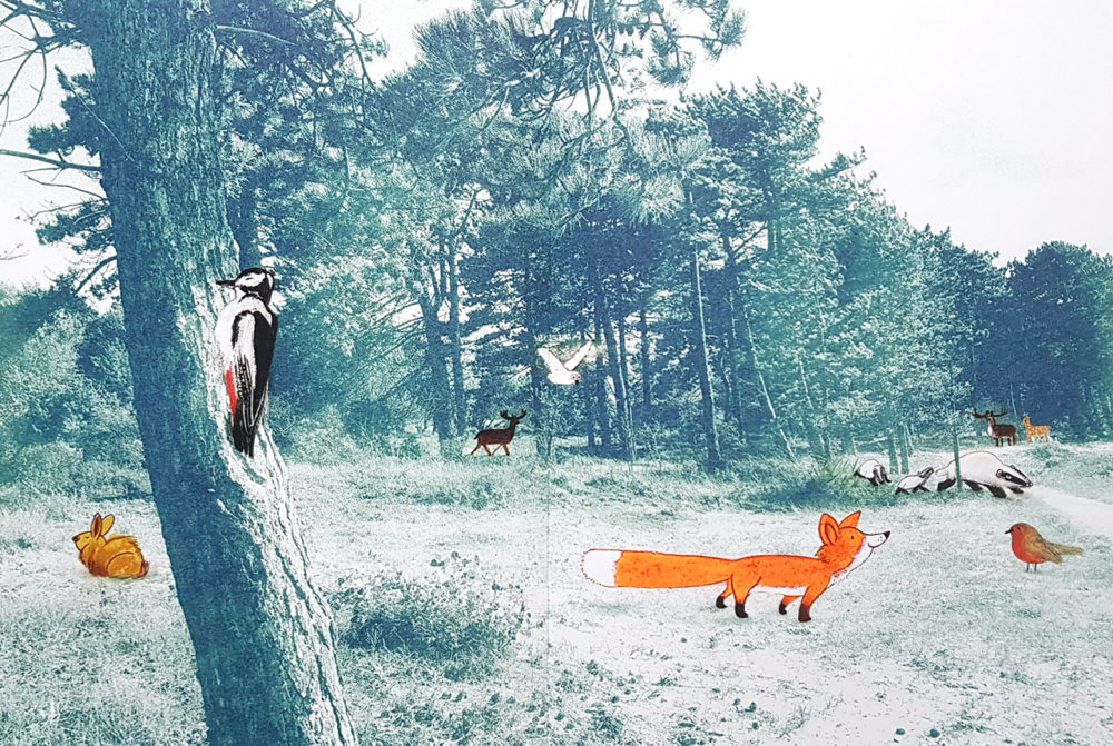 Vosje - Marije Tolman & Edward van de Vendel - de Kinderboekenbaas